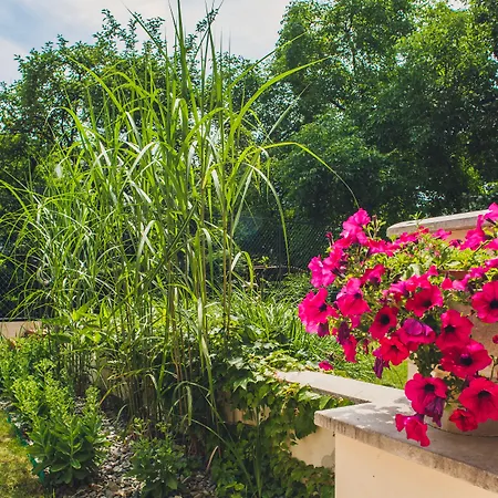 Aparthotel 4seasons﻿ Cracow Krakov